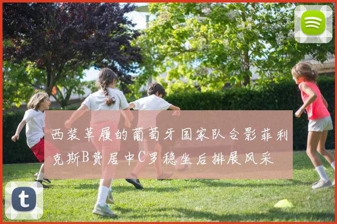 西装革履的葡萄牙国家队合影菲利克斯B费居中C罗稳坐后排展风采
