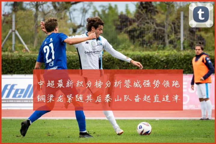 中超最新积分榜分析蓉城强势领跑铜梁龙紧随其后泰山队奋起直追津门虎仍需努力