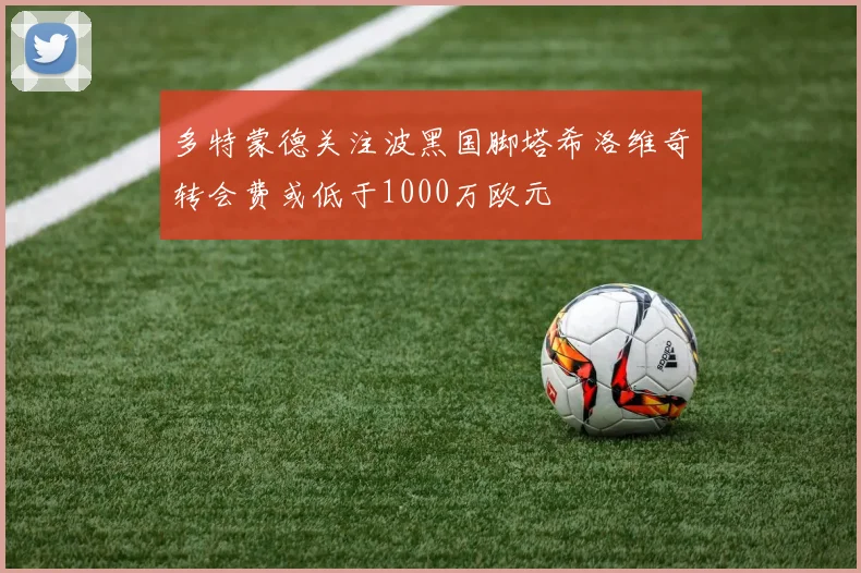 多特蒙德关注波黑国脚塔希洛维奇转会费或低于1000万欧元