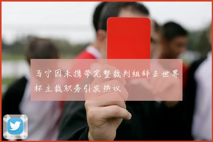 马宁因未携带完整裁判组辞去世界杯主裁职务引发热议